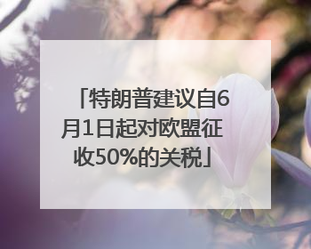 特朗普建议自6月1日起对欧盟征收50%的关税
